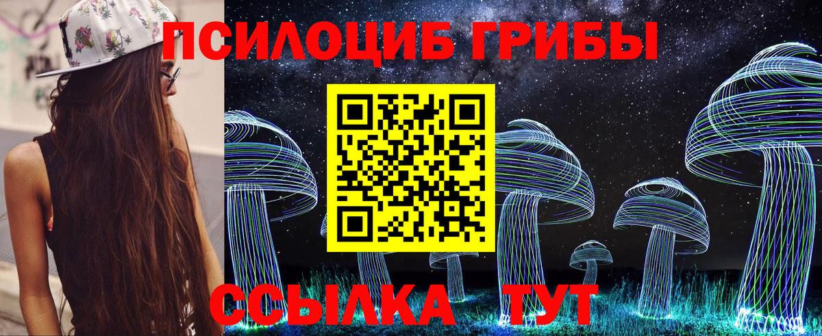 Псилоцибиновые грибы прущие грибы  Галлюциногенные грибы Psilocybe  Вход с VPN  Зима 