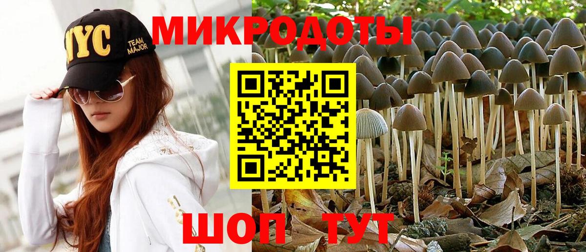Галлюциногенные грибы Magic Shrooms Зима